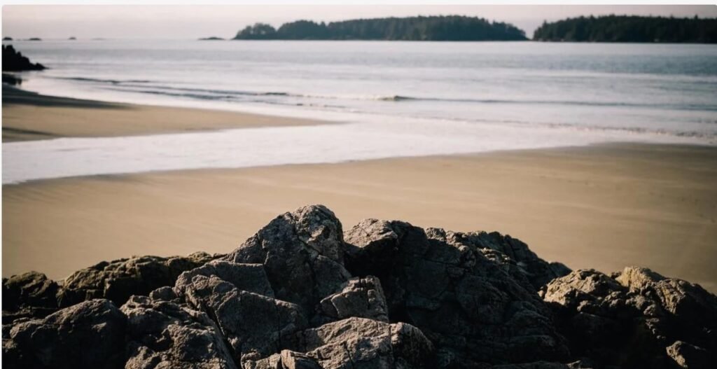 People exercising outdoors in the United States as part of a healthy fitness lifestyle